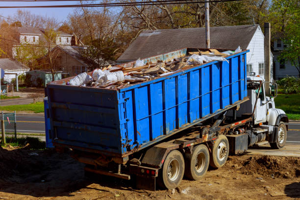 Best Seasonal Junk Removal in La Villa, TX