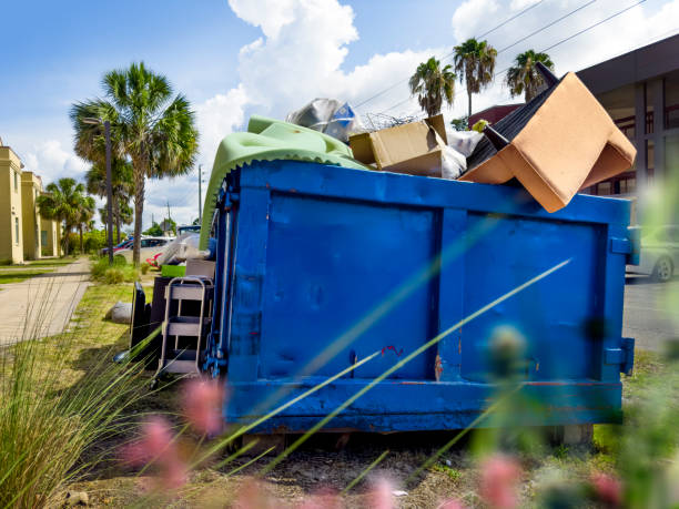 Best Retail Store Cleanouts in La Villa, TX